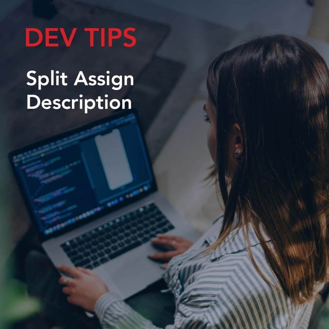 Dev Tip: Split Assign Description