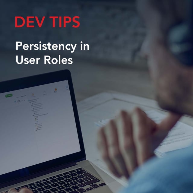 Dev Tip: Persistency in User Roles