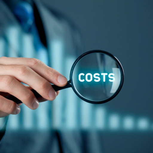 What is the true cost of custom software development?